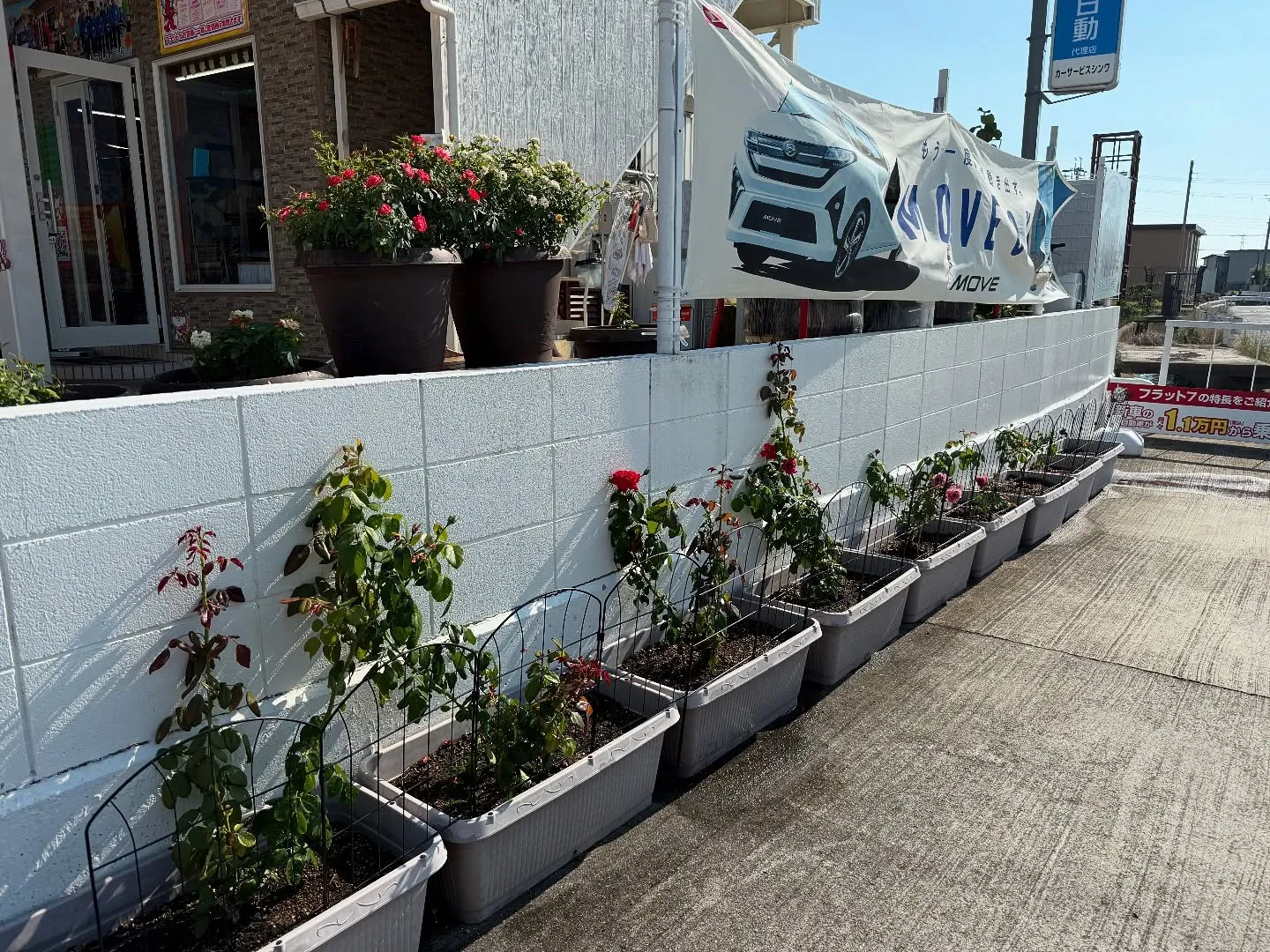 お車のことなら何でも泉佐野市のカーサービスシンワにお任せくだ...