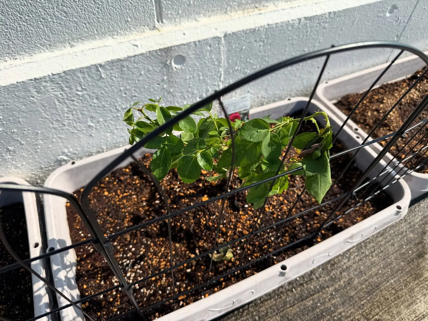 お車のことなら何でも泉佐野市のカーサービスシンワにお任せくだ...