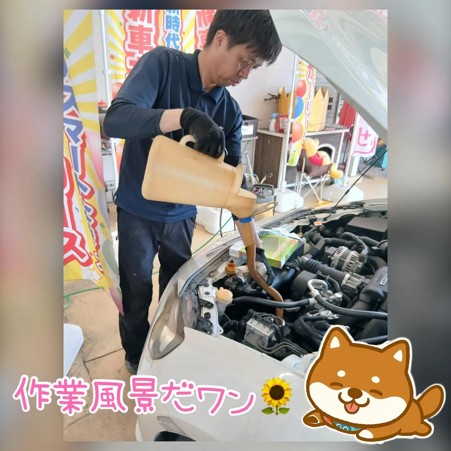 車検、鈑金塗装、お車の事ならカーサービスシンワへお任せくださ...