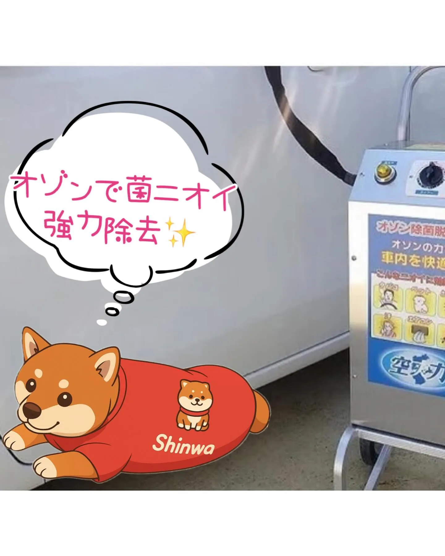 📣会社の社用車もカーサービスシンワにお任せ下さい🎵
