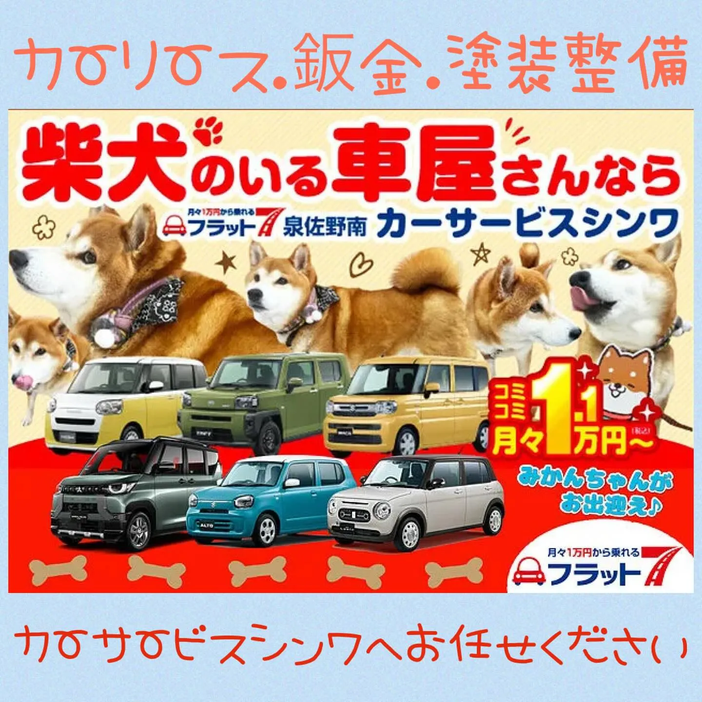🚗💨✨ カーサービスシンワです！ ✨💨🚗