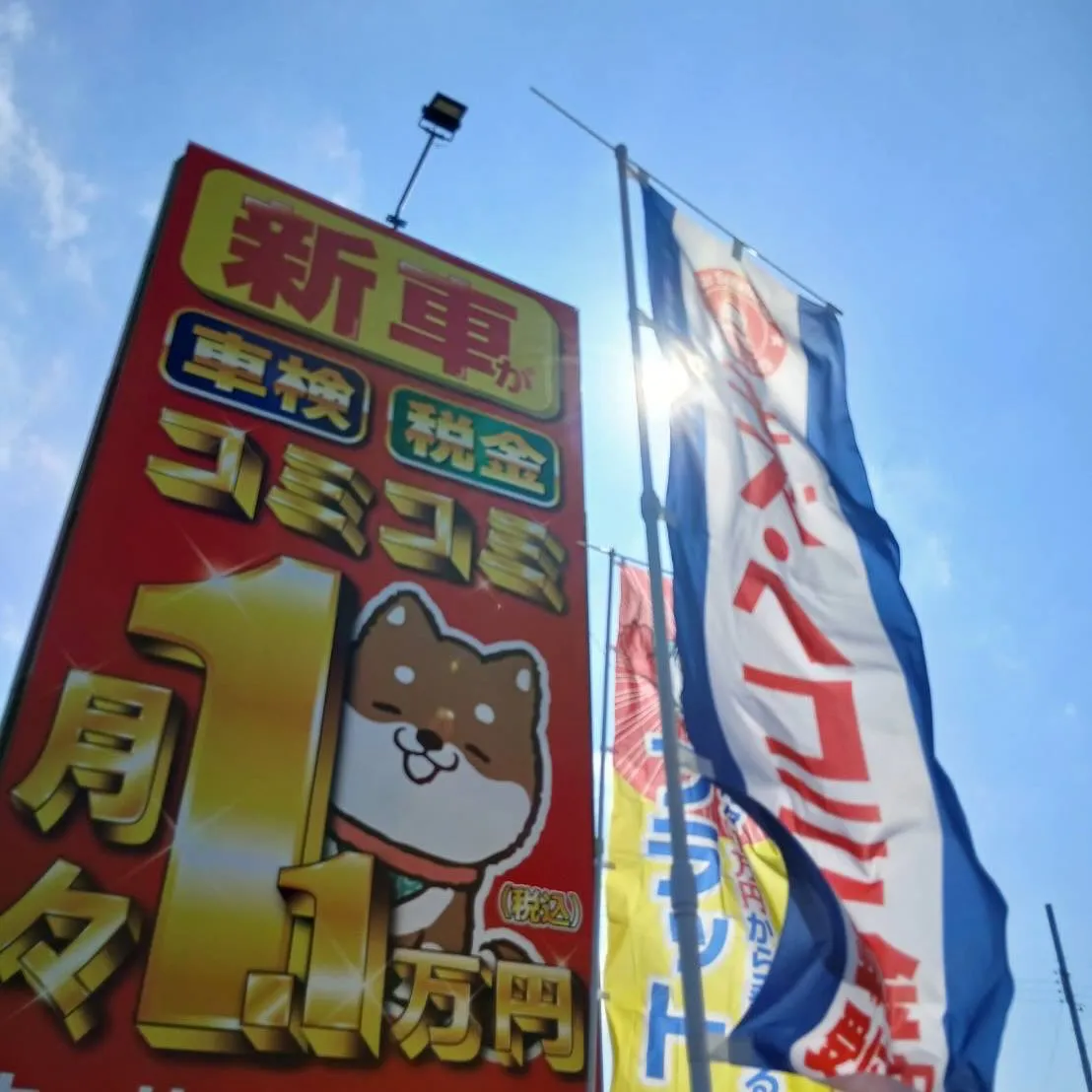 🚗✨お車のことならカーサービスシンワへ✨🚗