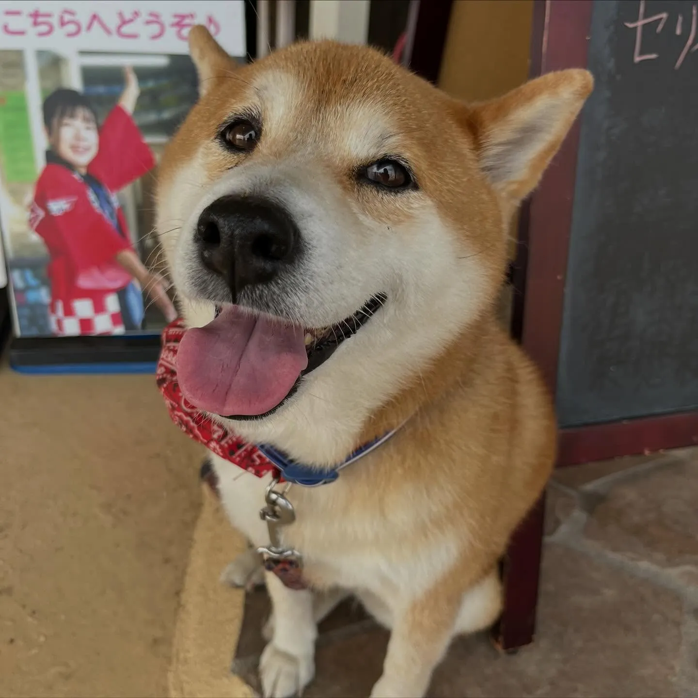 スズキ、アルト🚗新車カーリースご納車式❣️