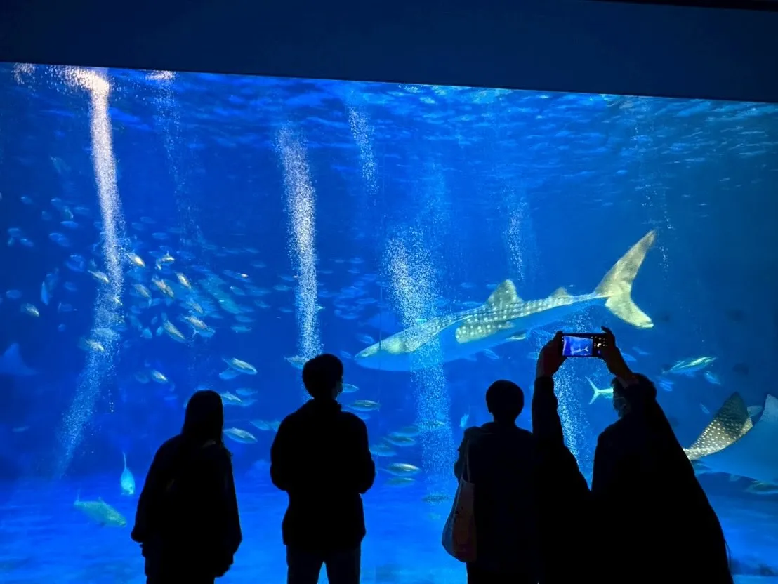 社員旅行✈️in鹿児島🌋 カーサービスシンワ🐶