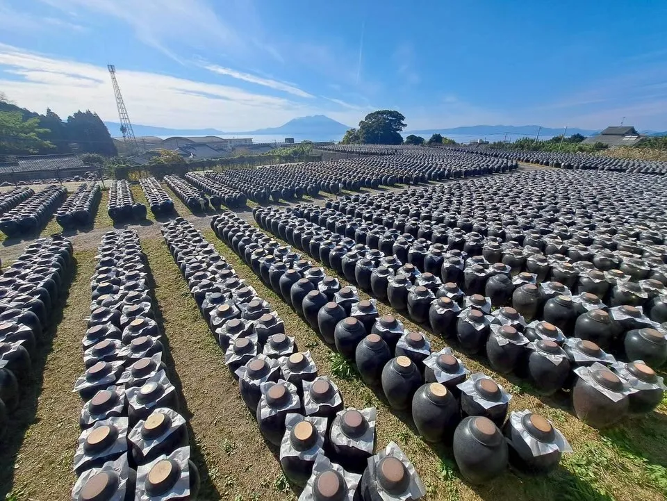 社員旅行✈️in鹿児島🌋 カーサービスシンワ🐶