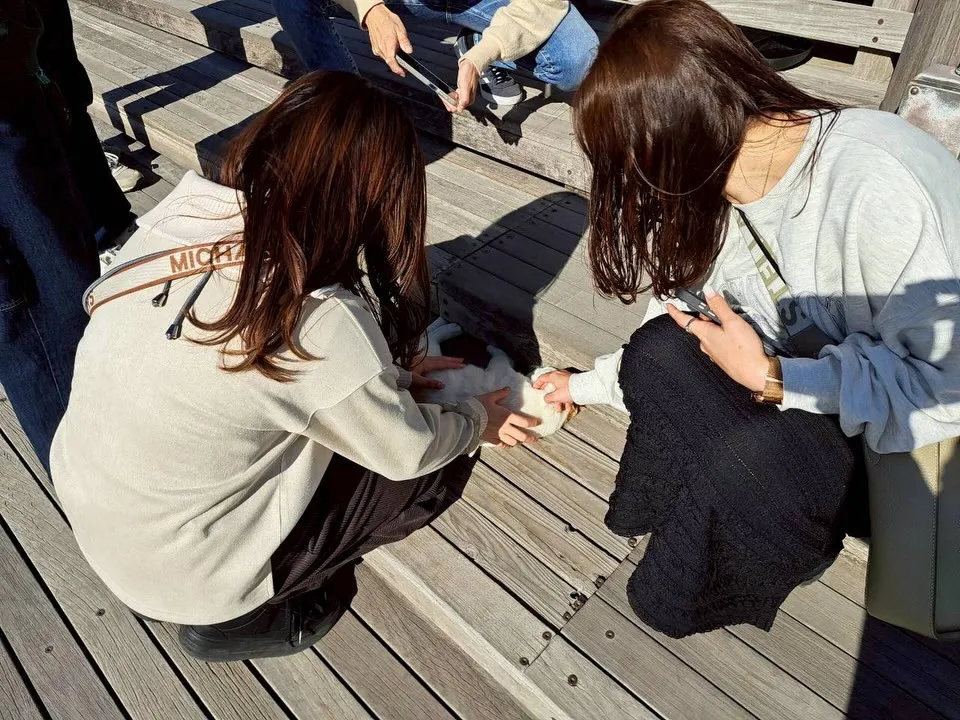 社員旅行✈️in鹿児島🌋 パート2🫶 カーサービスシンワ🐶