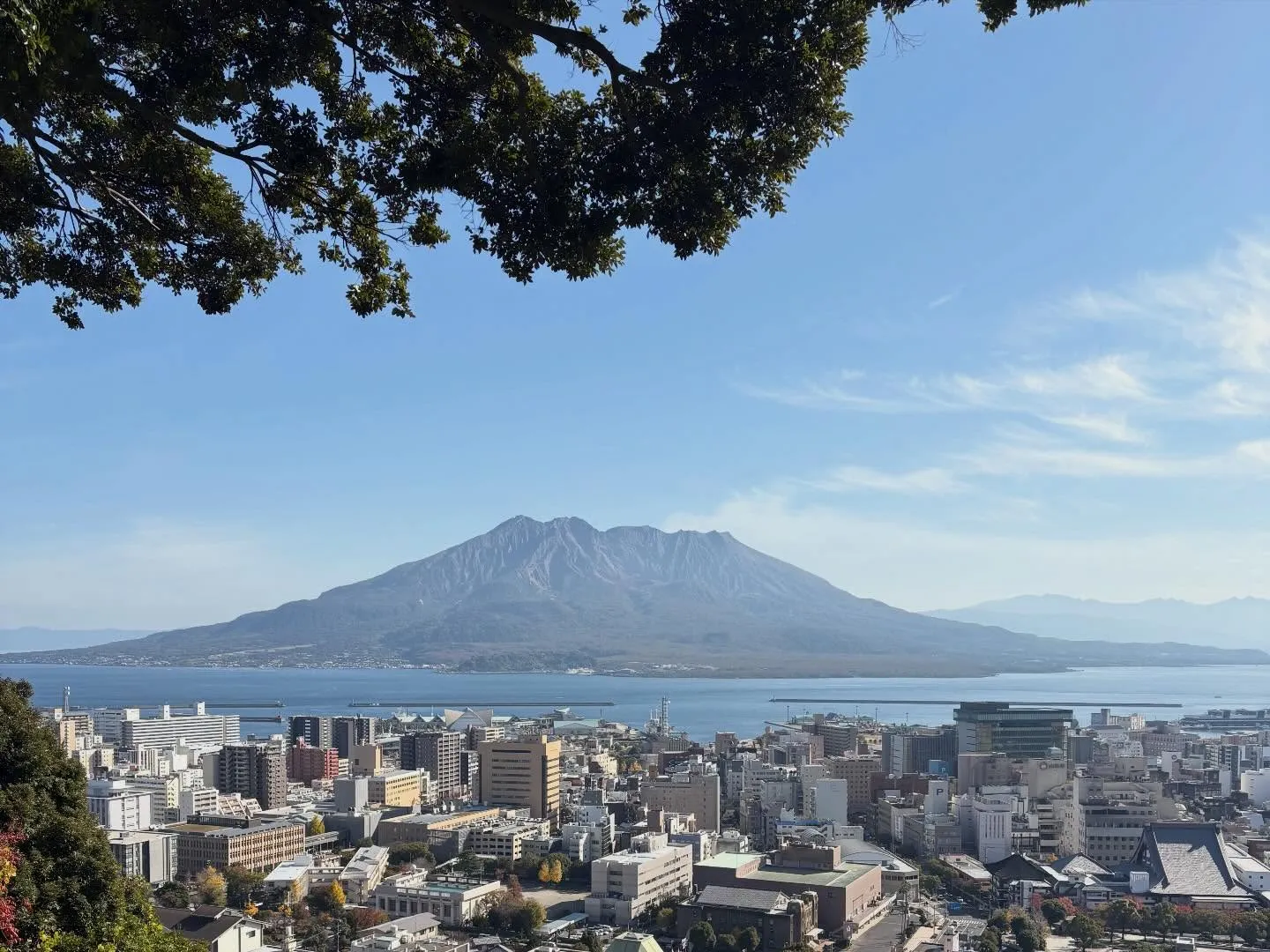 社員旅行✈️in鹿児島🌋 パート2🫶 カーサービスシンワ🐶