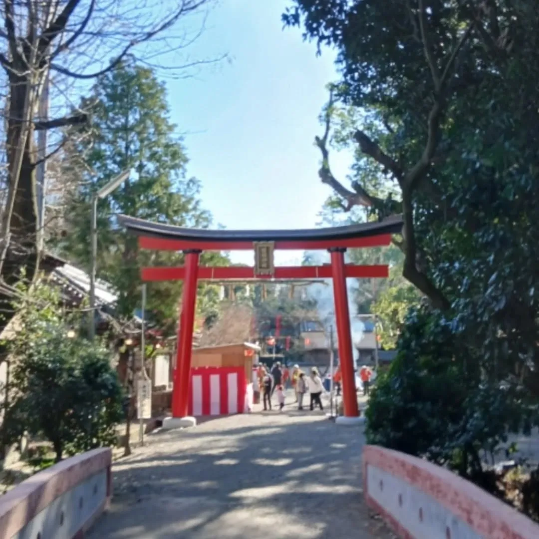 新春初売り、新車の軽自動車ならカーサービスシンワにお任せ下さ...