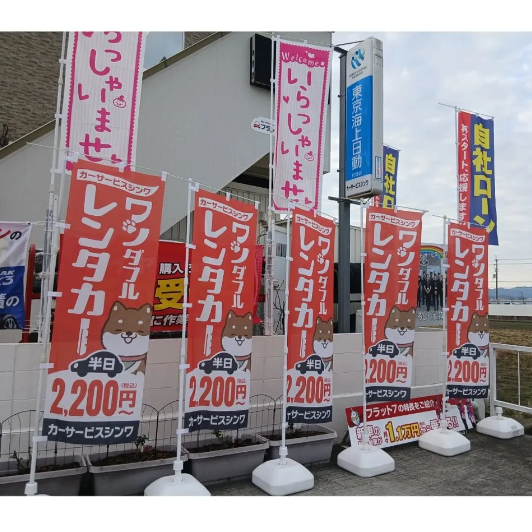 新春初売り、新車の軽自動車ならカーサービスシンワにお任せ下さ...