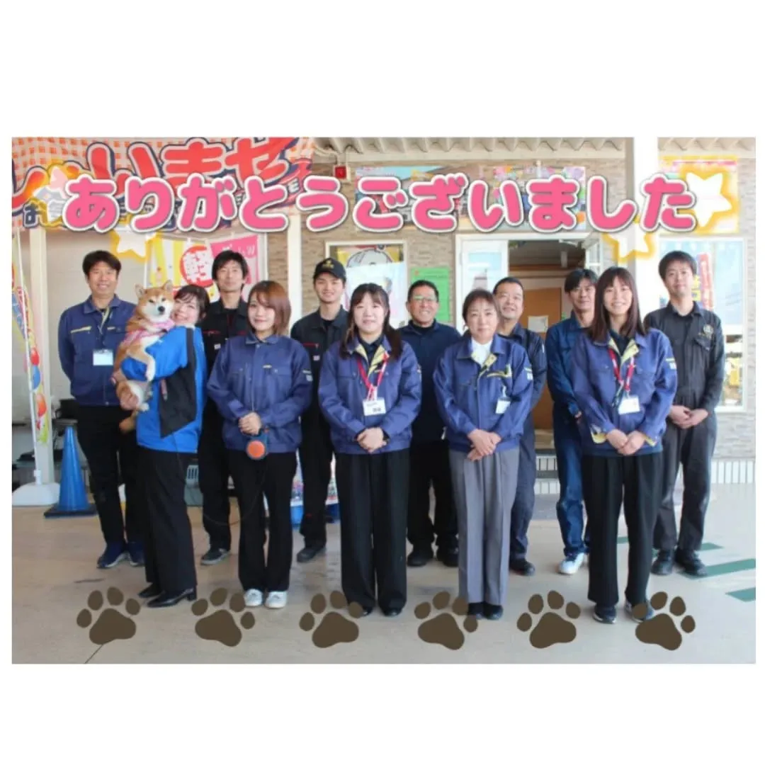 新春初売り、新車の軽自動車ならカーサービスシンワにお任せ下さ...