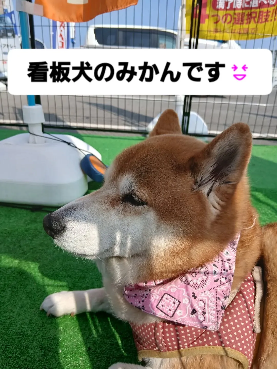 26号線沿いにお店の入り口があるカーサービスシンワです😊