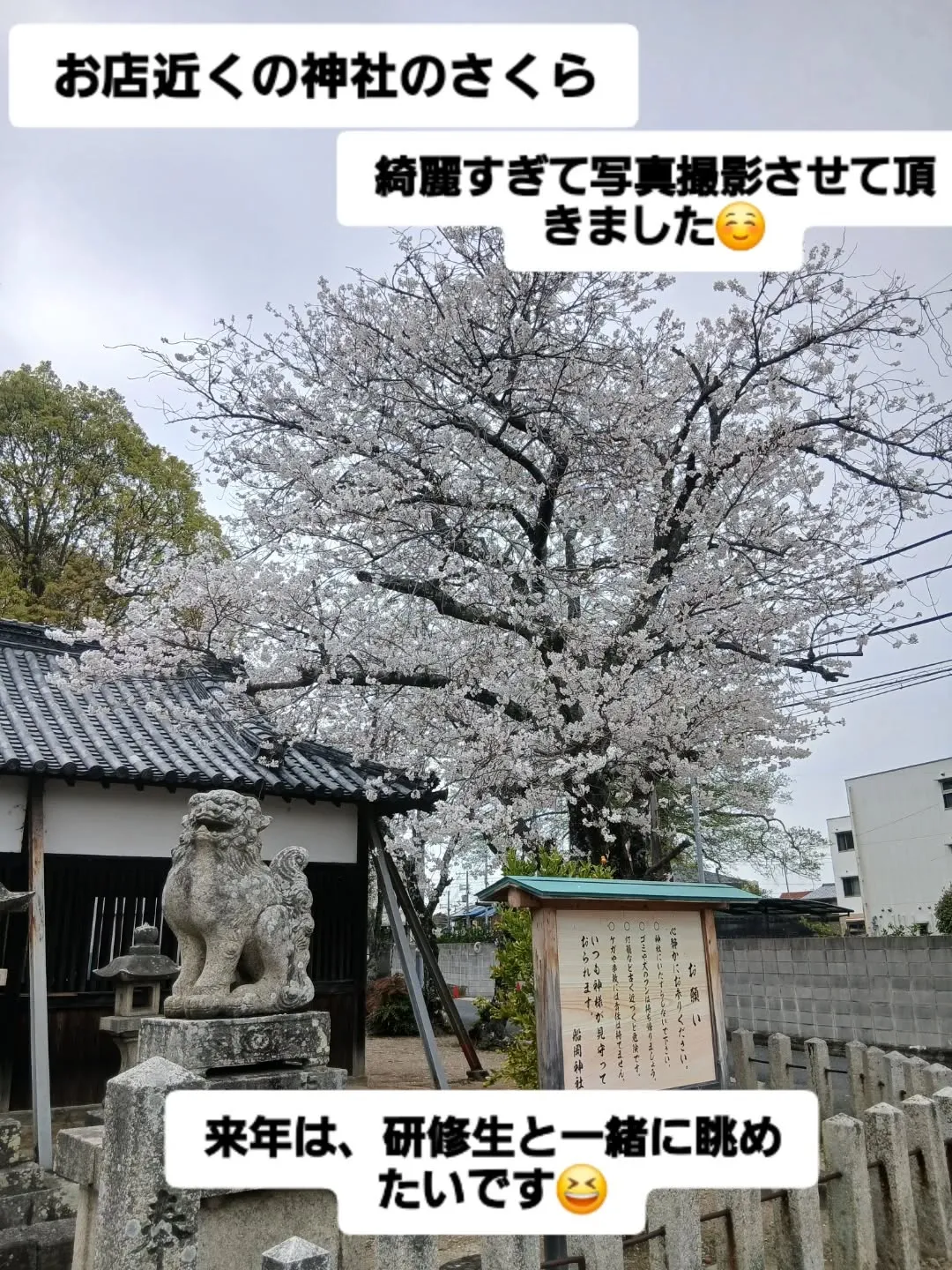 外国人研修生がもうすぐ来るカーサービスシンワをお楽しみに🎵😊