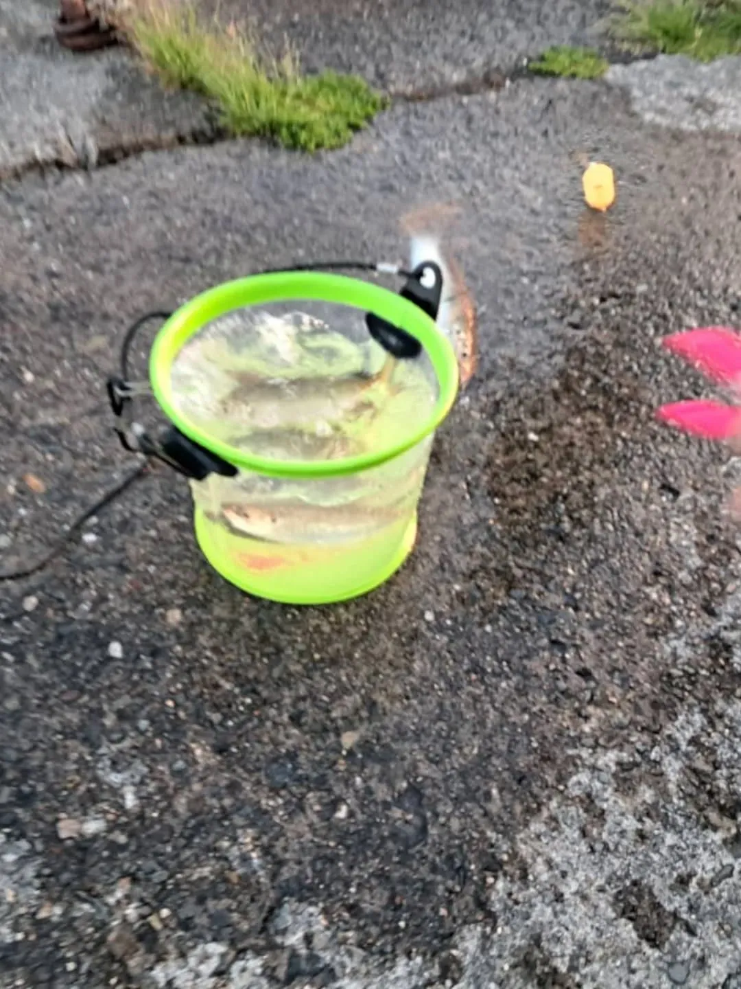 休日は釣りを楽しむカーサービスシンワです😆