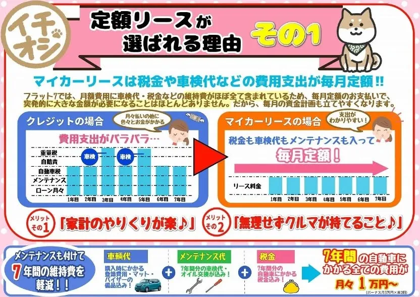 月々定額のカーリースはシンワにお任せ下さい😊