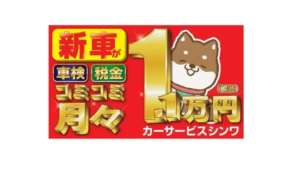 月々定額のカーリースはシンワにお任せ下さい😊