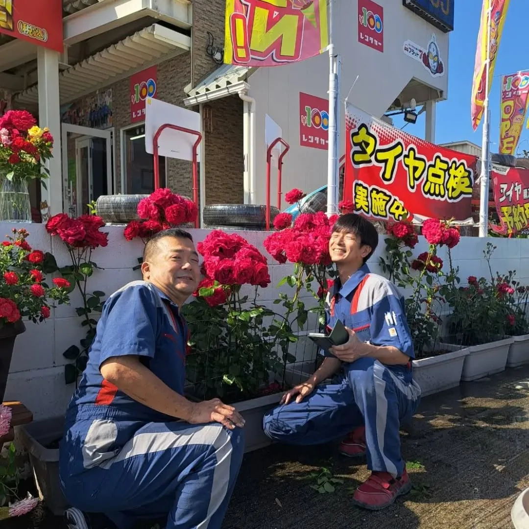 カーサービスシンワに小さな薔薇園誕生‼️