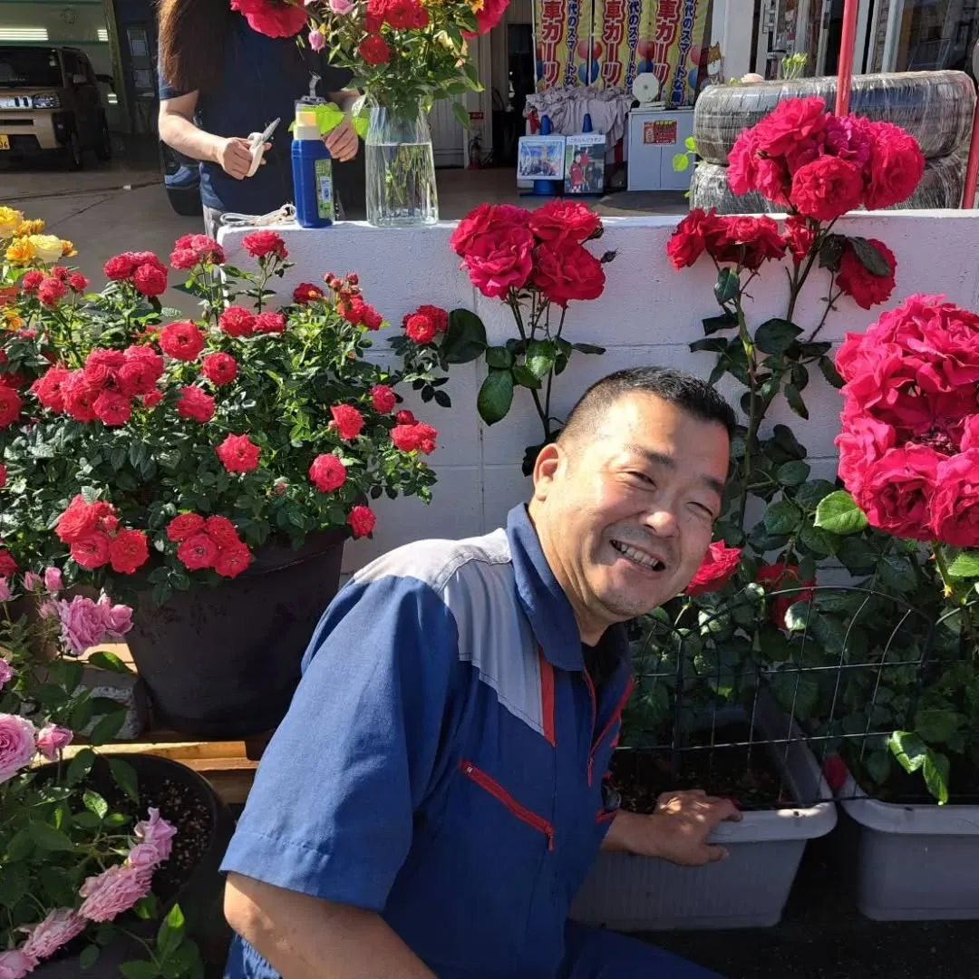 カーサービスシンワに小さな薔薇園誕生‼️