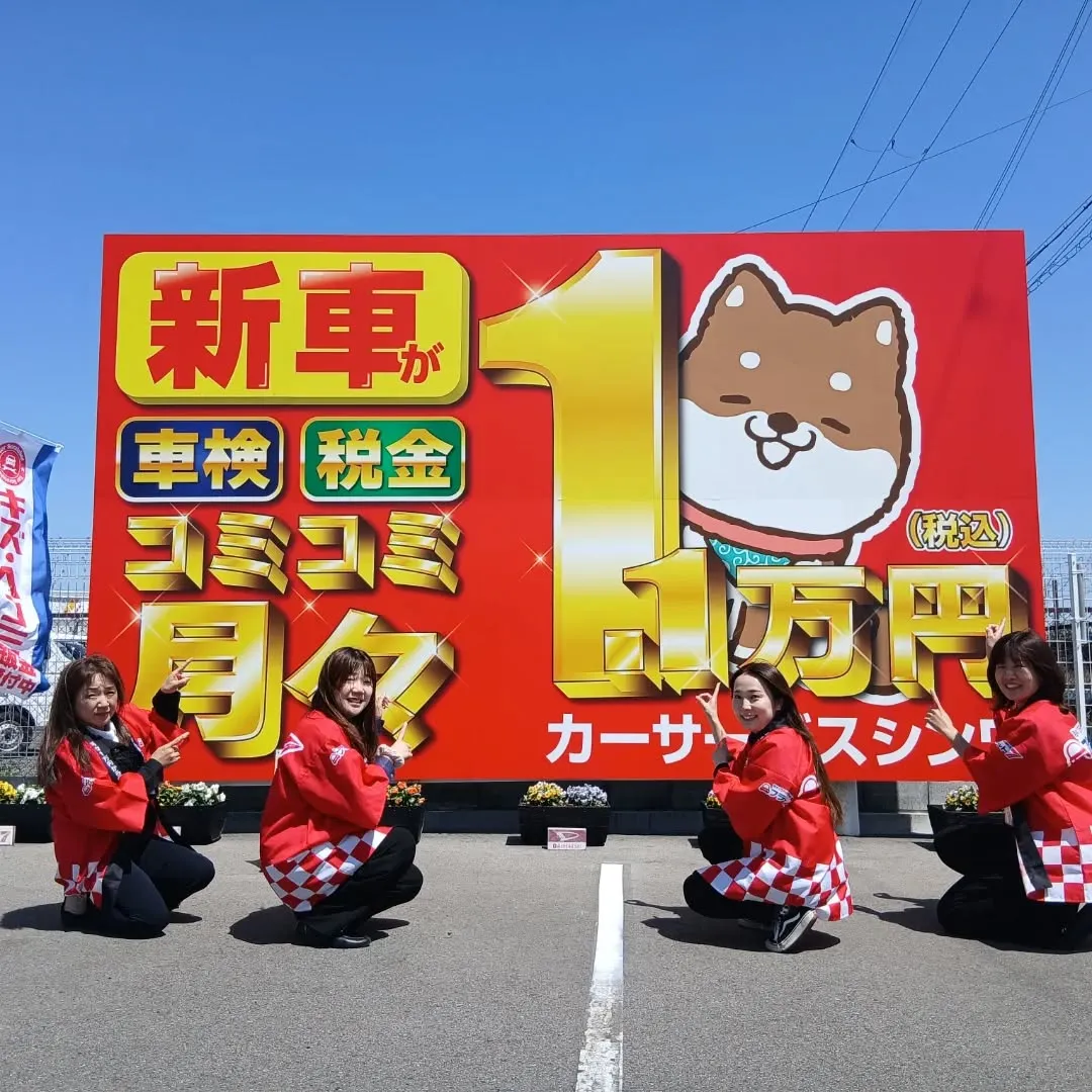 自動車の任意保険の満了日、保険内容、知ってますか⁉️