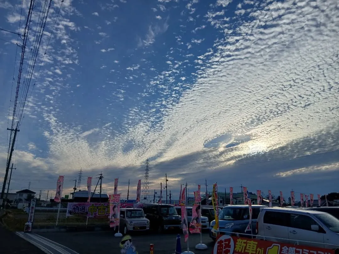 景色を楽しむカーサービスシンワの部長です‼️