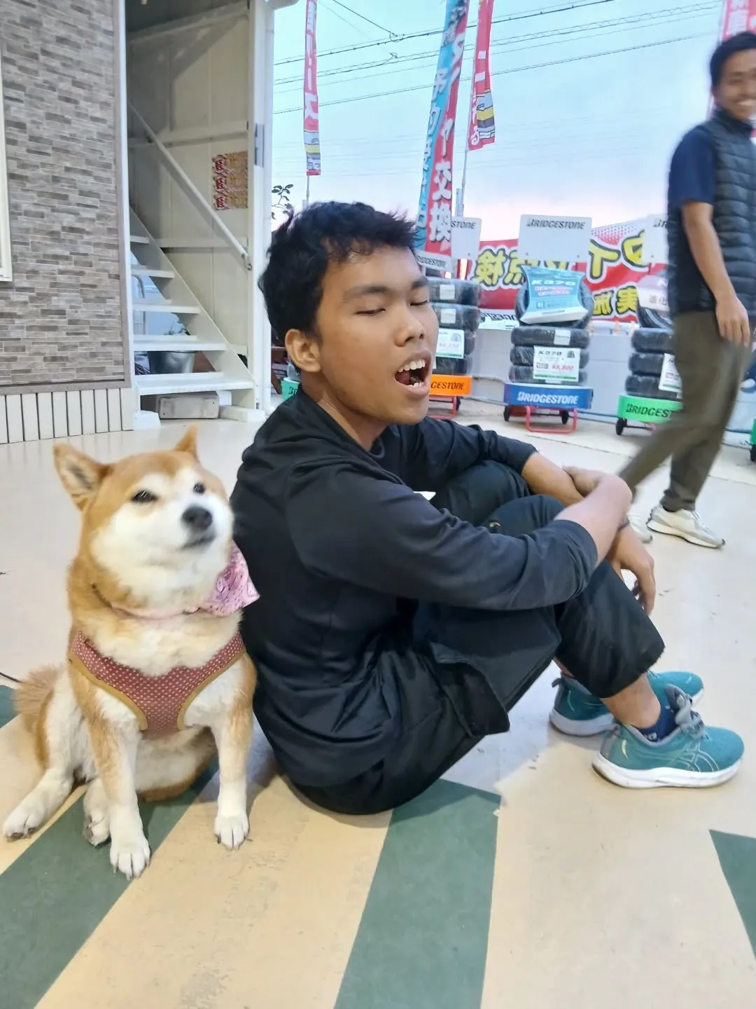 看板犬のみかん、今日は不在になります💦
