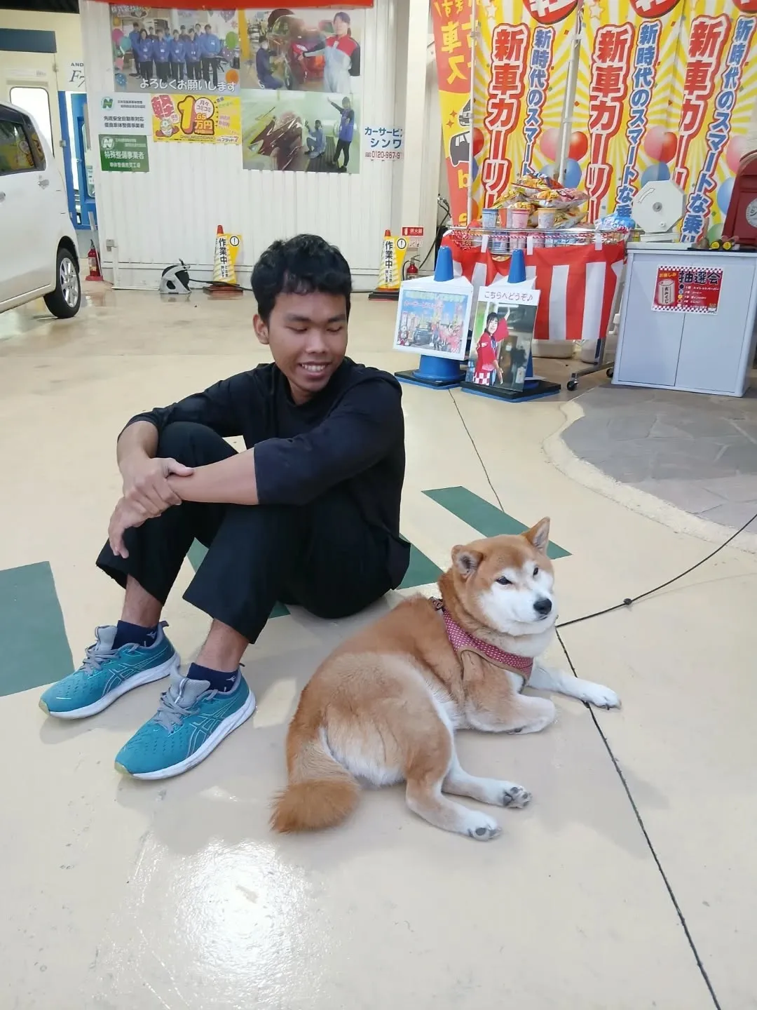看板犬のみかん、今日は不在になります💦
