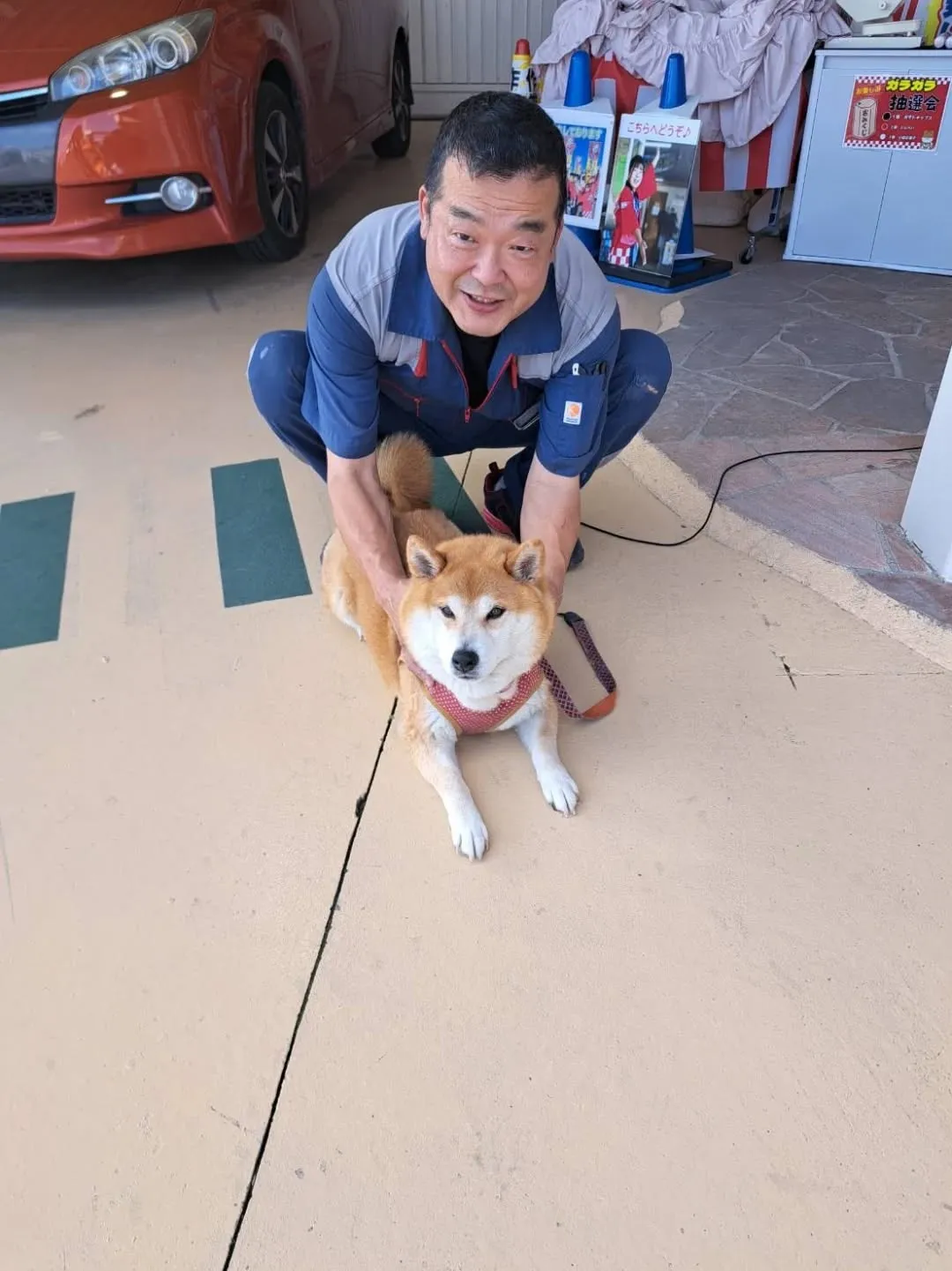看板犬のみかん、今日は不在になります💦