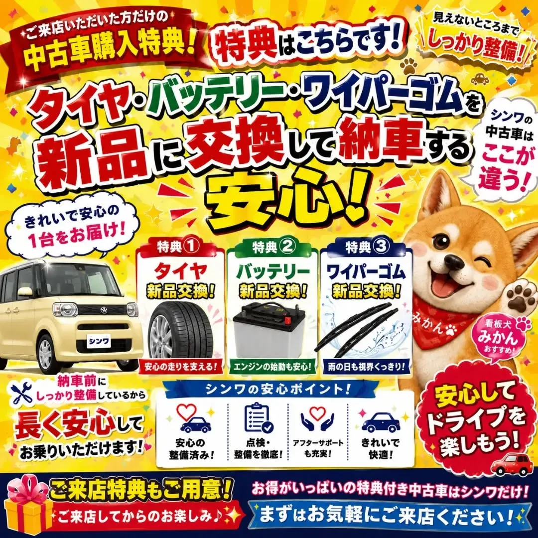 カーサービスシンワの中古車は、ご購入特典付き！🎁