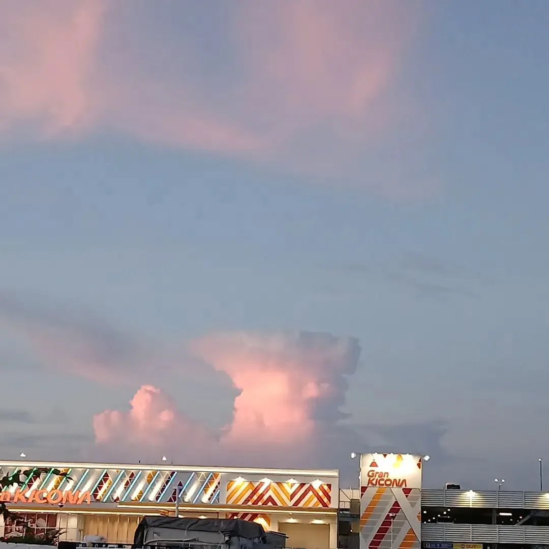 仕事帰りに、きれいな空を撮影するテガル君📸🌇