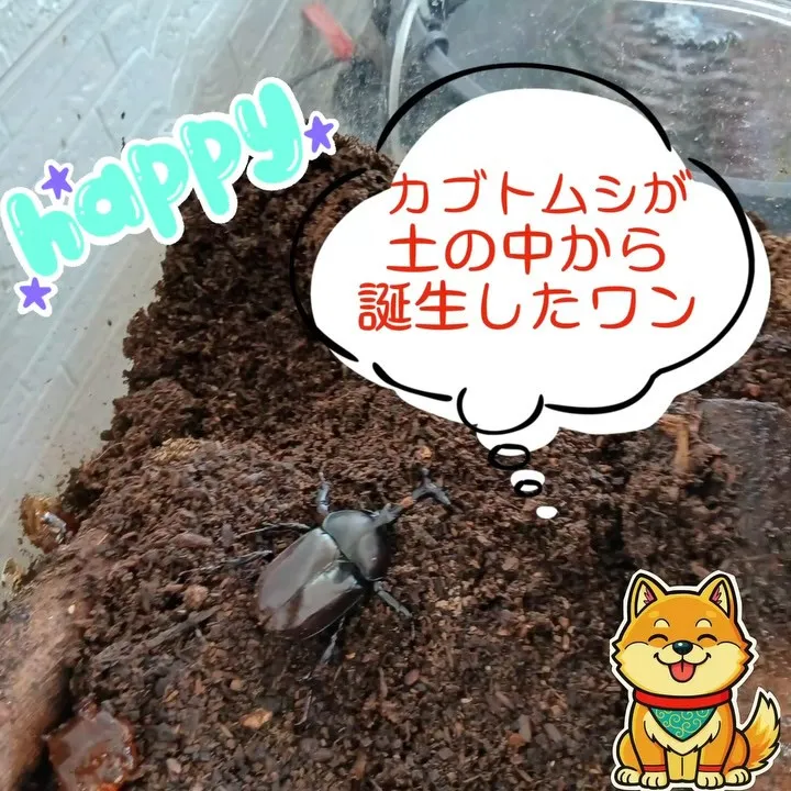 おはようございます☀